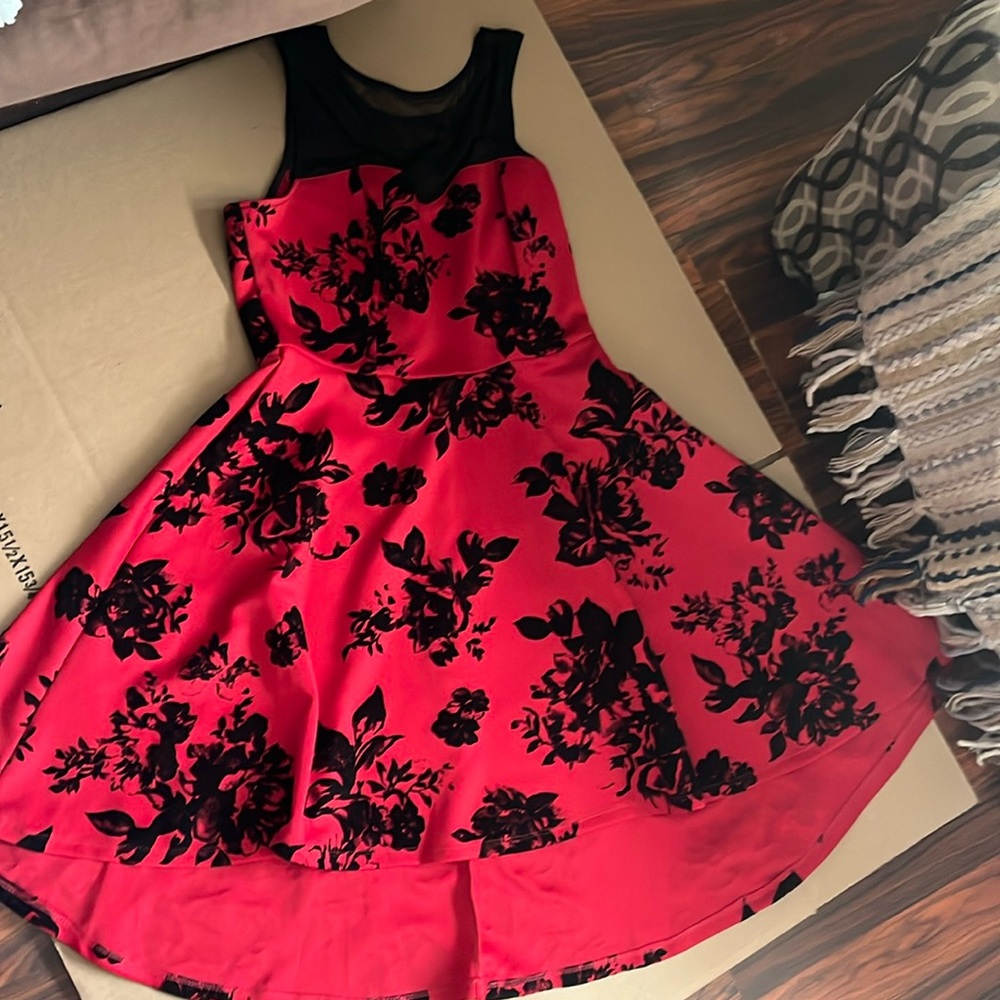 Trixxi Black and Red Flower Dress